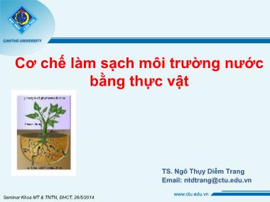 Bài giảng Cơ chế làm sạch môi trường nước bằng thực vật