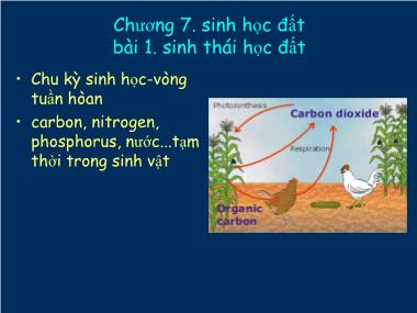 Bài giảng Khoa học đất - Chương 7, Bài 2: Sinh học đất