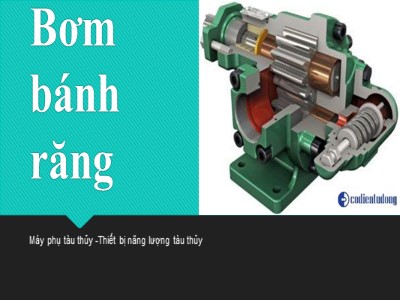 Bài giảng Bơm bánh răng