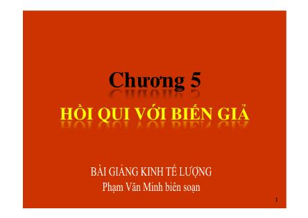 Bài giảng Kinh tế lượng - Chương 5: Hồi quy với biến giả - Phạm Văn Minh