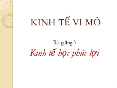 Bài giảng Kinh tế vi mô - Bài 5: Kinh tế học phúc lợi