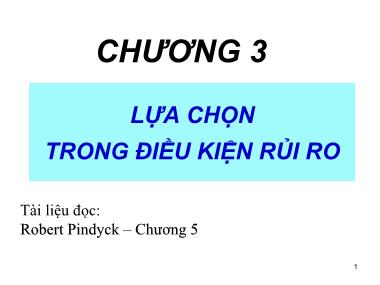 Bài giảng Kinh tế vi mô - Chương 3, Phần 1: Lựa chọn trong điều kiện rủi ro - Trương Quang Hùng