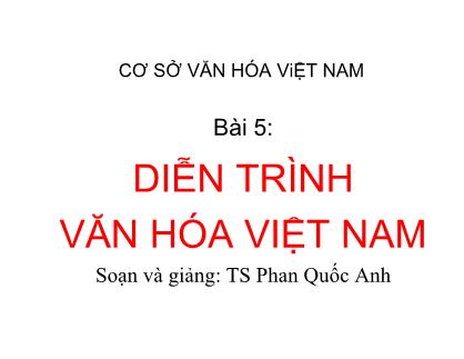 Bài giảng Môi trường tự nhiên - Bài 5: Diễn trình văn hóa Việt Nam - Phan Quốc Anh