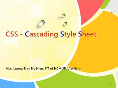 Bài giảng Phát triển ứng dụng Web. Web Programming - Chương 2: CSS (Cascading style sheet)