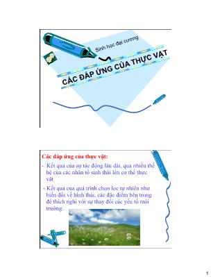 Bài giảng Sinh học đại cương - Các đáp ứng của thực vật