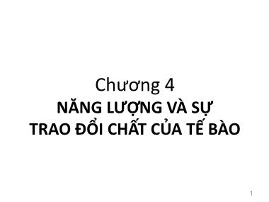 Bài giảng Sinh học đại cương - Phần 1: Sinh học tế bào - Chương 4: Năng lượng và sự trao đổi chất của tế bào - Võ Thanh Phúc