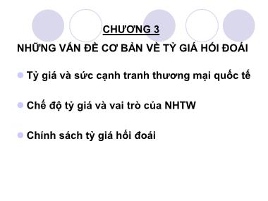 Bài giảng Tài chính quốc tế - Chương 3: Những vấn đề cơ bản về tỷ giá hối đoái - Nguyễn Trọng Tài