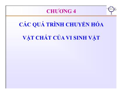 Bài giảng Vi sinh thực phẩm - Chương 4: Các quá trình chuyển hóa vật chất của vi sinh vật