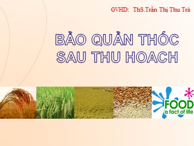 Bài giảng Bảo quản thóc sau thu hoạch