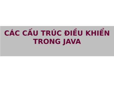 Bài giảng Ngôn ngữ Java - Chương 2: Các cấu trúc điều khiển trong java - Phạm Duy Trung