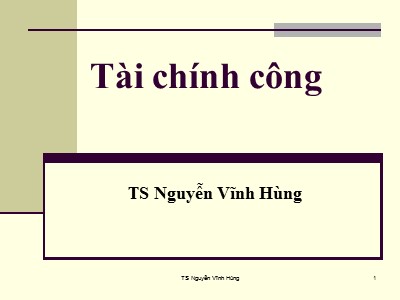 Tài chính công - Nguyễn Vĩnh Hùng