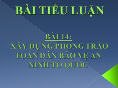 Tiểu luận Xây dựng phong trào toàn dân bảo vệ an ninh tổ quốc