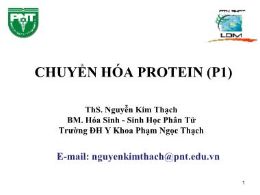 Bài giảng Hóa sinh - Chương 2, Phần 1: Chuyển hóa Protein - Nguyễn Kim Thạch