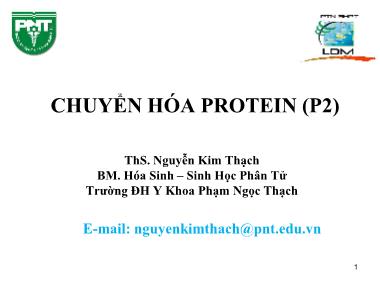 Bài giảng Hóa sinh - Chương 2, Phần 2: Chuyển hóa Protein - Nguyễn Kim Thạch