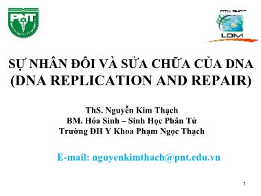 Bài giảng Hóa sinh - Chương 3: Sự nhân đôi và sửa chữa của DNA - Nguyễn Kim Thạch