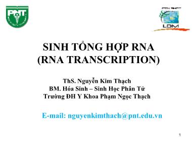 Bài giảng Hóa sinh - Chương 4: Sinh tổng hợp RNA - Nguyễn Kim Thạch