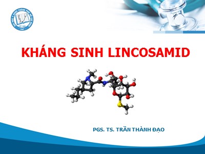 Bài giảng Kháng sinh lincosamid