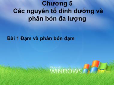 Bài giảng Nông hóa thổ nhưỡng - Chương 5: Các nguyên tố dinh dưỡng và phân bón đa lượng - Lê Trọng Hiếu