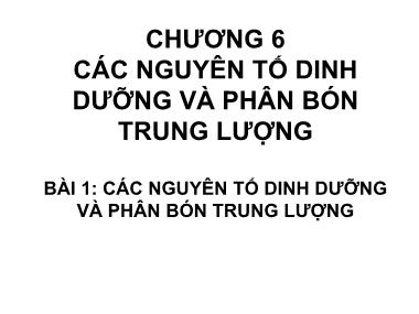 Bài giảng Nông hóa thổ nhưỡng - Chương 6: Các nguyên tố dinh dưỡng và phân bón trung lượng - Lê Trọng Hiếu