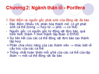 Bài giảng Sinh học - Chương 2: Ngành thân lỗ (Porifera)