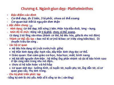 Bài giảng Sinh học - Chương 4: Ngành giun dẹp (Plathelminthes)