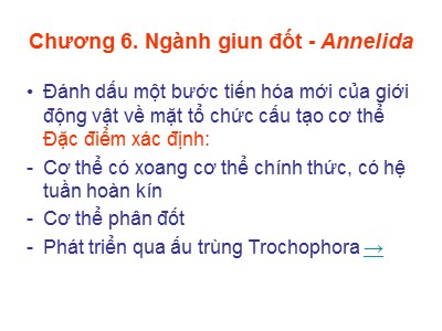 Bài giảng Sinh học - Chương 6: Ngành giun đốt (Annelida)