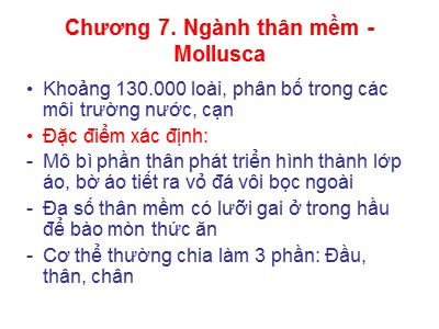 Bài giảng Sinh học - Chương 7: Ngành thân mềm (Mollusca)