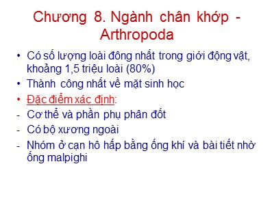 Bài giảng Sinh học - Chương 8: Ngành chân khớp (Arthropoda)