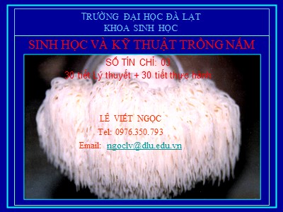 Bài giảng Sinh học và kỹ thuật trồng nấm - Chương 1: Đặc điểm chung của nấm - Lê Viết Ngọc