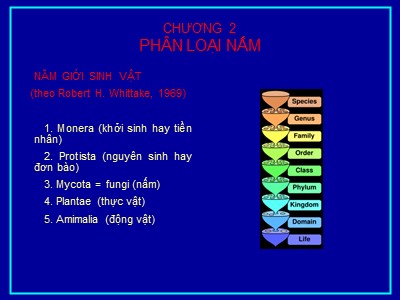 Bài giảng Sinh học và kỹ thuật trồng nấm - Chương 2: Phân loại nấm - Lê Viết Ngọc