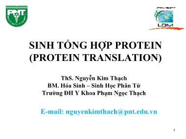 Bài giảng Sinh tổng hợp Protein (Phần 1)