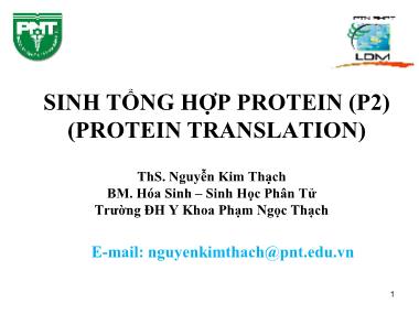 Bài giảng Sinh tổng hợp Protein (Phần 2)