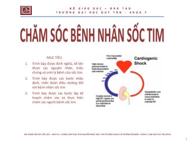 Chăm sóc bệnh nhân sốc tim