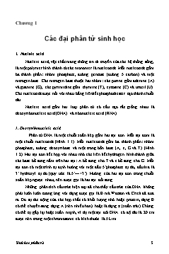 Giáo trình Sinh học phân tử - Chương 1: Các đại phân tử sinh học