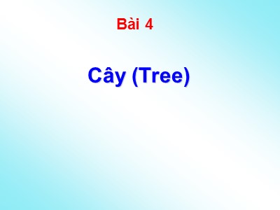 Bài giảng Lý thuyết đồ thị - Bài 4: Cây