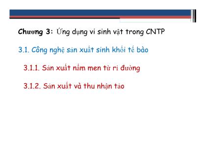 Bài giảng Công nghệ sinh học thực phẩm - Chương 3, Phần 1: Ứng dụng vi sinh vật trong công nghệ thực phẩm - Phạm Hồng Hiếu