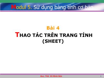 Bài giảng Excel cơ bản - Module 5: Sử dụng bảng tính cơ bản - Bài 4: Thao tác trên trang tính (Sheet)