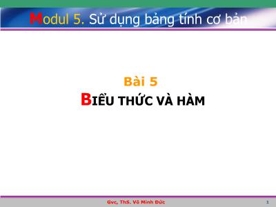 Bài giảng Excel cơ bản - Module 5: Sử dụng bảng tính cơ bản - Bài 5: Biểu thức và hàm