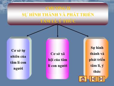 Bài giảng Tâm lý học đại cương - Chương II - Phần I: Cơ sở tự nhiên của tâm lý con người